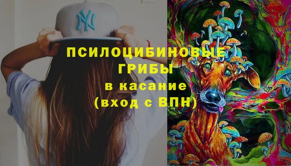 таблы Сосновка