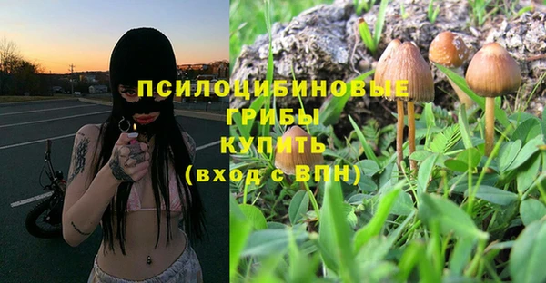 таблы Сосновка