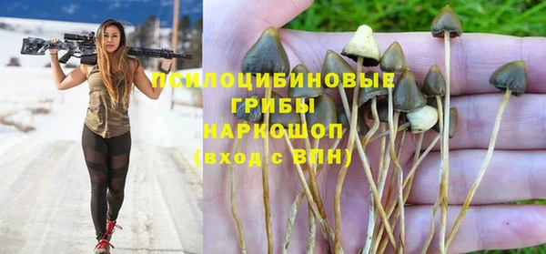 таблы Сосновка